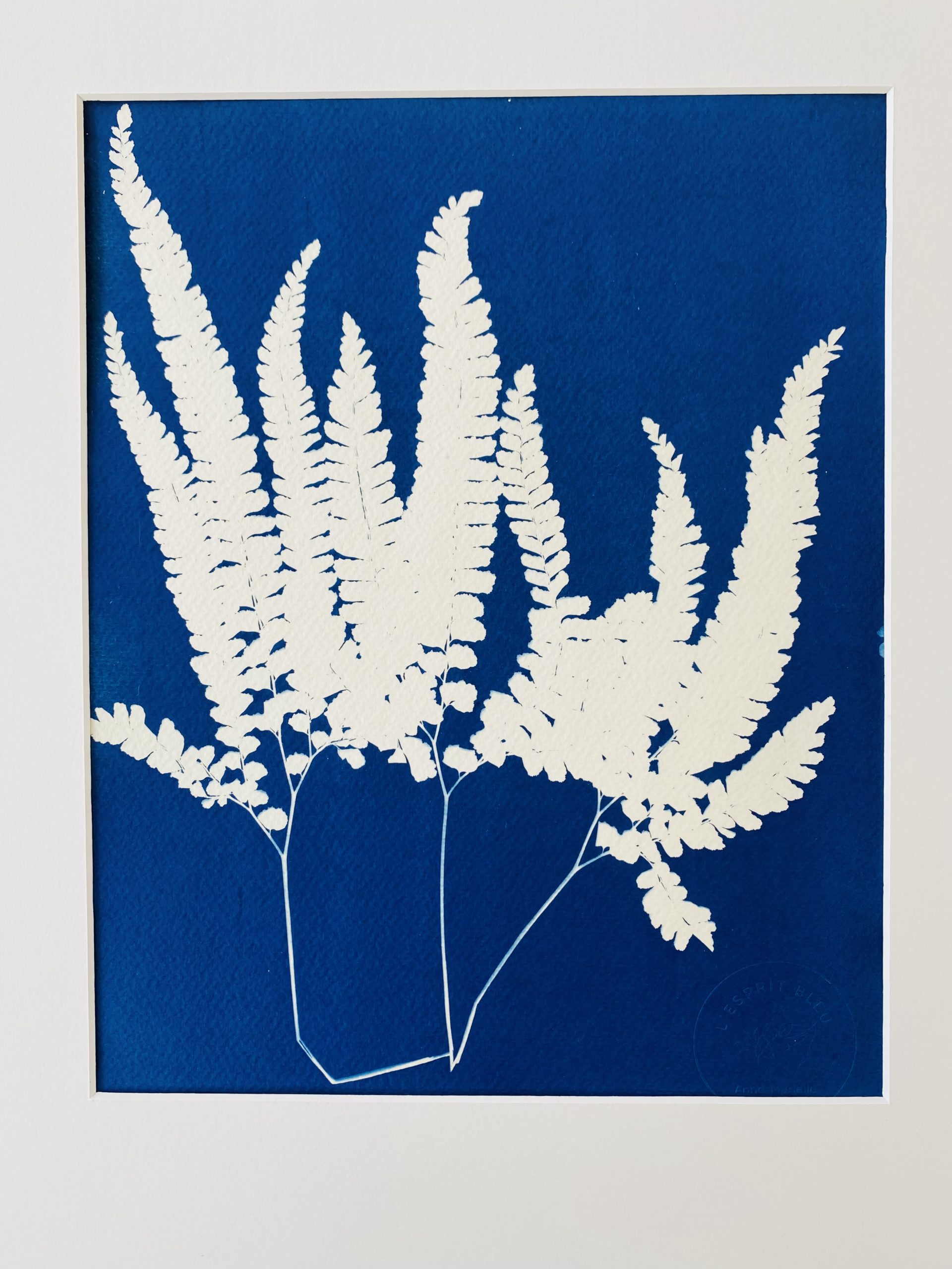 Cyanotype Fougère dansante : frondes blanches en mouvement