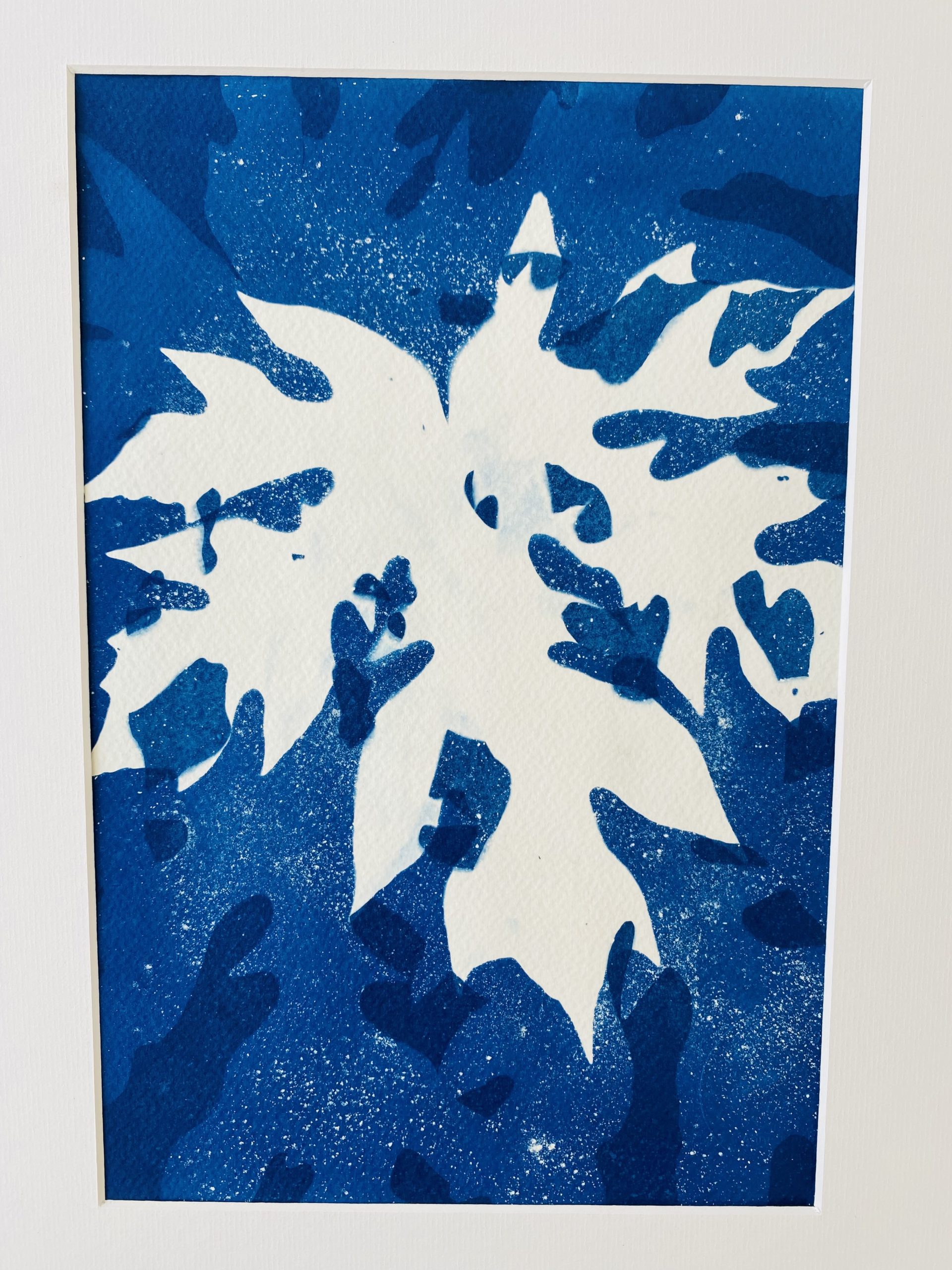 Cyanotype Papayer cosmique : feuille de papayer blanche sur fond bleu étoilé