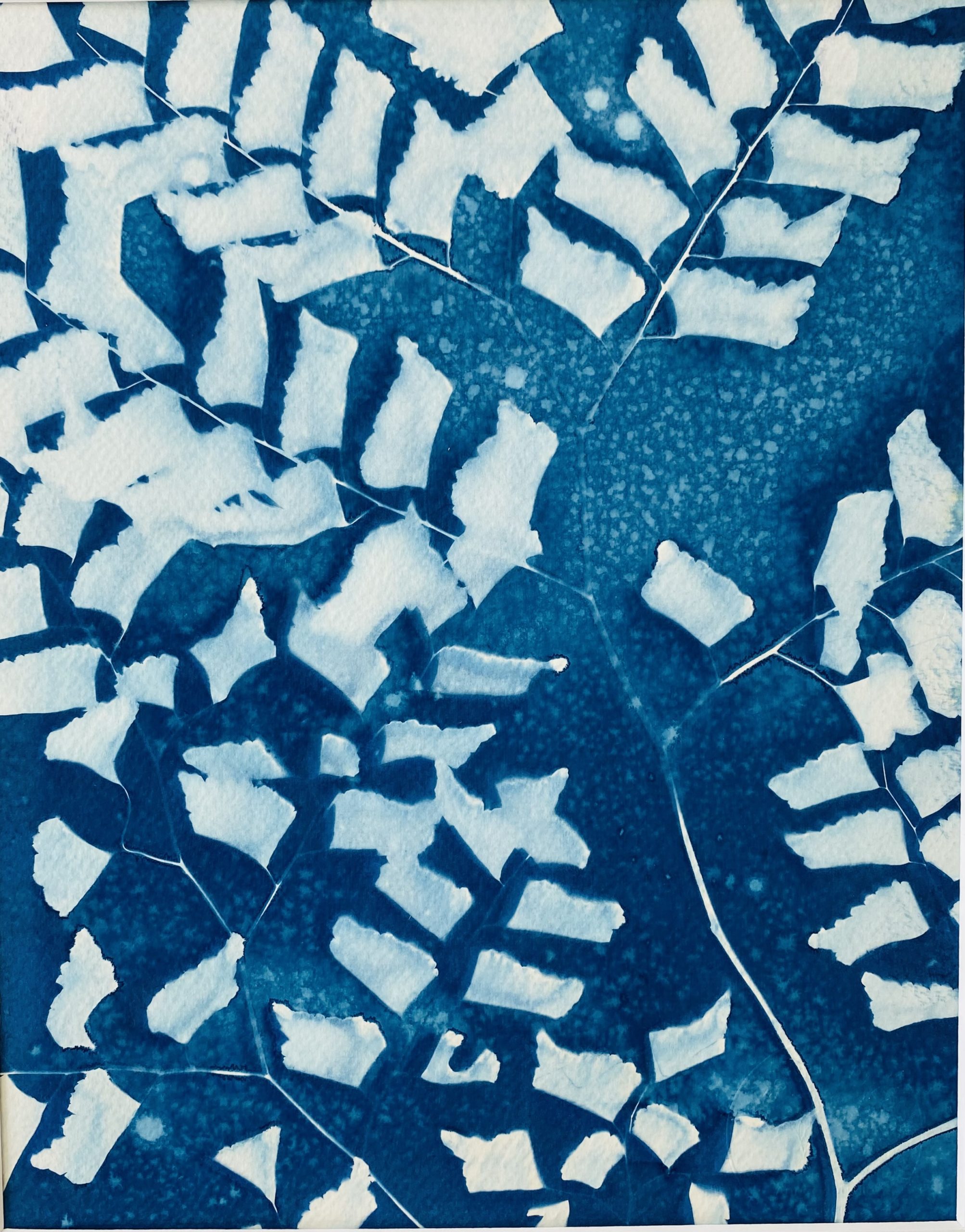 Cyanotype Fougère humide : fragments de fronde dans un halo bleu