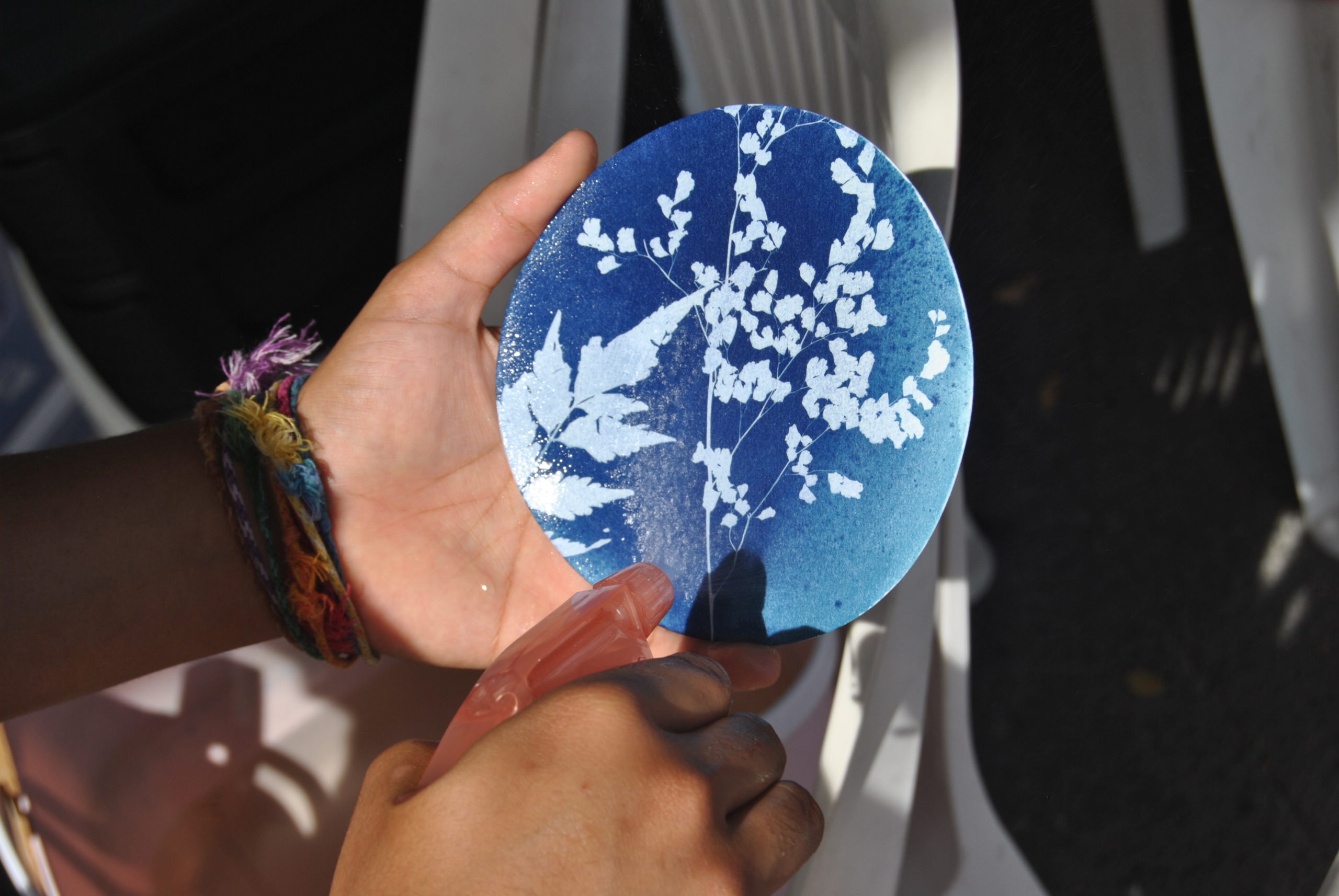 Main présentant un tirage cyanotype rond, empreinte de fleurs blanches