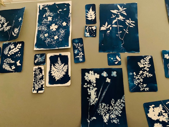 Plusieurs tirages cyanotype réalisés lors d'un atelier, posés sur une table