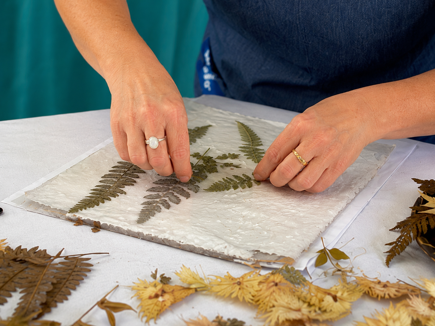 Mains d'Anne-Marielle Boyer composant une planche de fougères avant l'exposition au soleil