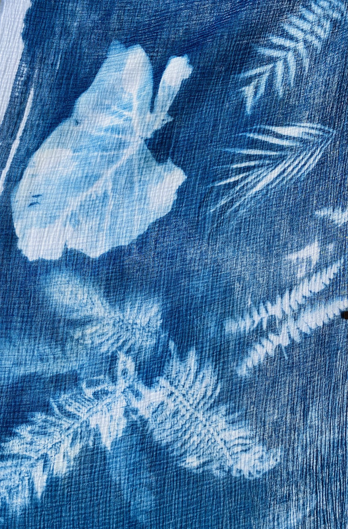 Voile de coton gaze cyanotypé : fougères, feuilles cordiformes et palmes entremêlées