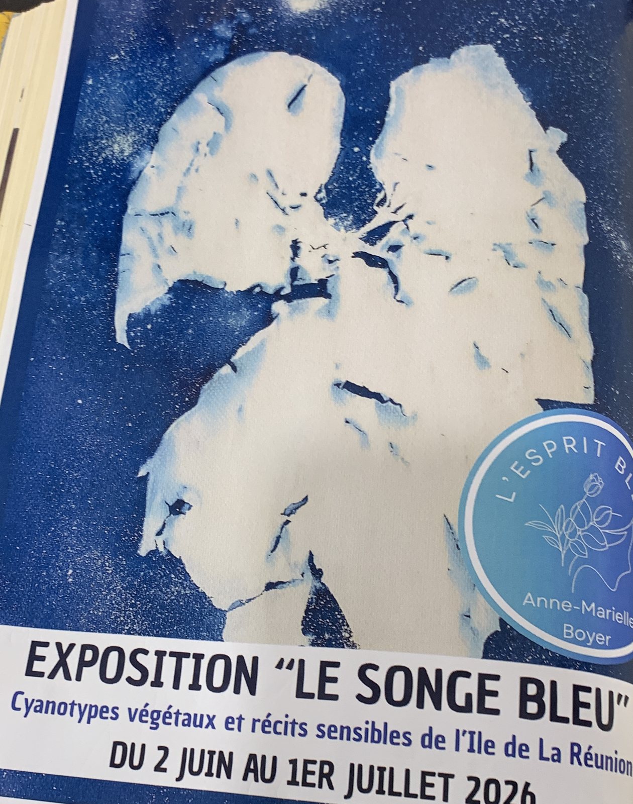 Affiche de l'exposition Le Songe Bleu, cyanotypes végétaux et récits sensibles de l'Île de La Réunion, du 2 juin au 1er juillet 2026